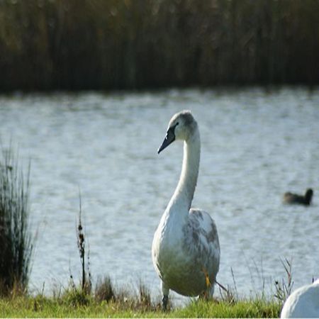 Auplands En-Suite Rooms Lymington Ngoại thất bức ảnh