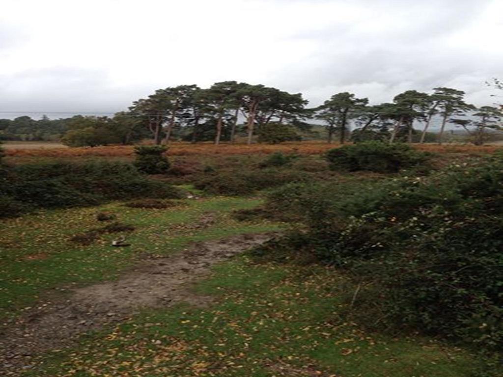 Auplands En-Suite Rooms Lymington Ngoại thất bức ảnh